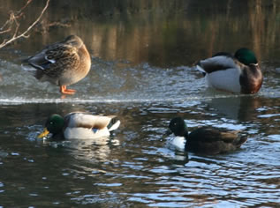 2008_12_30